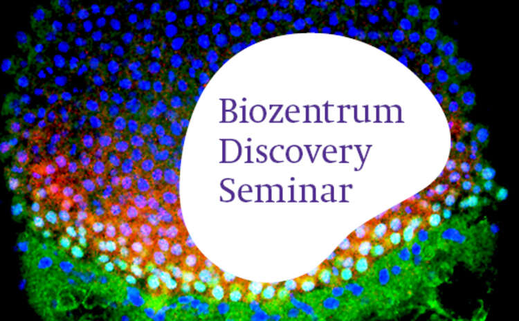 Biozentrum Discovery Seminar by Prof. Caroline Hill from the Francis Crick Institute, London, UK.